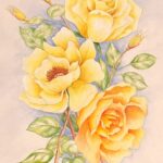 Watercolor Roses